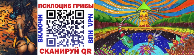 Псилоцибиновые грибы Magic Shrooms  купить наркотик  Абдулино 